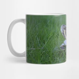 Red Eared Slider Turtle in Grass Mug